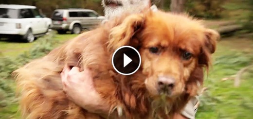 Dog Rescuer Gets Huge Surprise