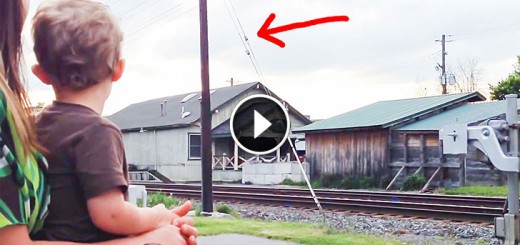 Little Boy Realize What His Dad Does For A Living