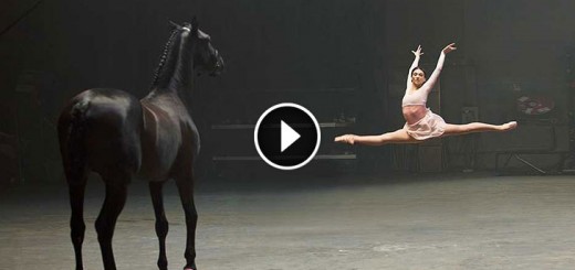 ballerina performs horse responds