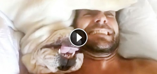 dog makes hilarious noise